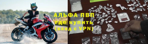 шишки Нягань
