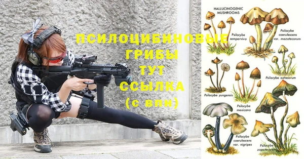 шишки Нягань