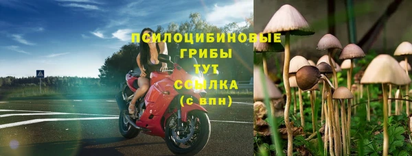 шишки Нягань