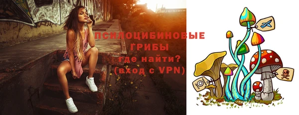 шишки Нягань