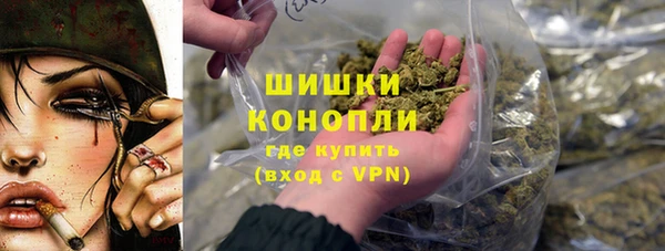 шишки Нягань