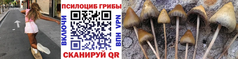 мега ONION  Уржум  Галлюциногенные грибы мицелий 